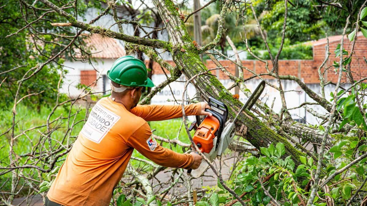 Family Branch Tree Service LLC